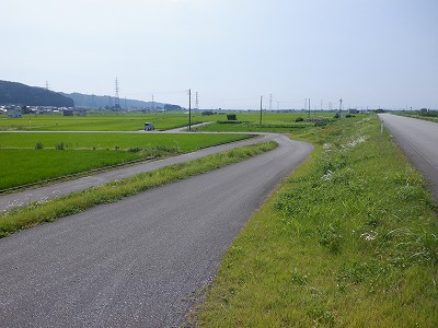 �����w�摜