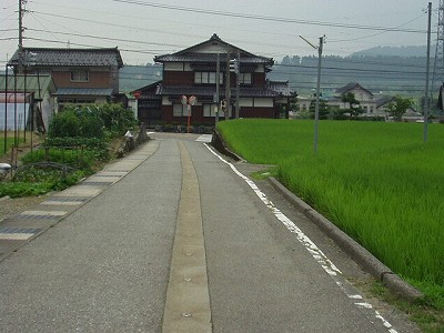 �����w�摜