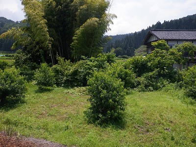 �������w�摜