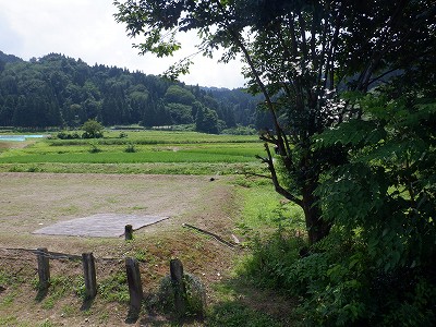 �������w�摜