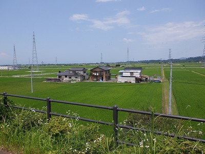 �������w�摜