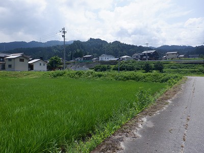 �������w�摜