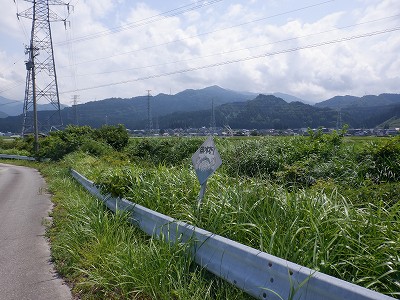 �������w�摜