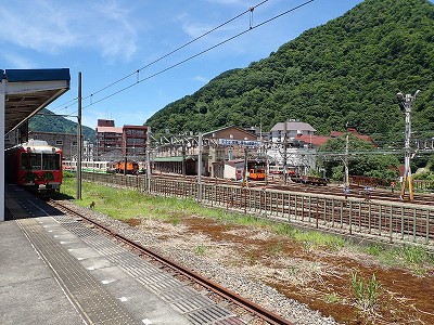 Fތw摜