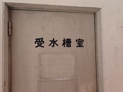 Fތw摜