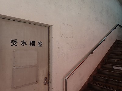 Fތw摜