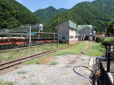 Fތw摜
