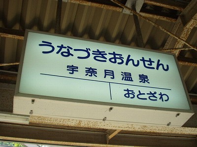 Fތw摜