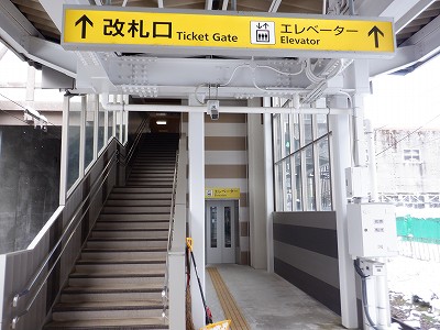 Fތw摜