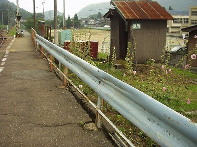 Rw摜