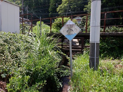 Rw摜