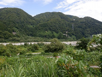 Rw摜