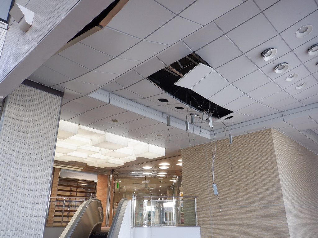 �d�S�x�R�w�摜