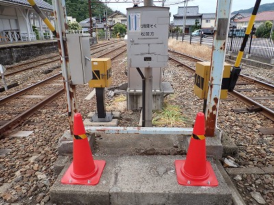 �i�������w�摜