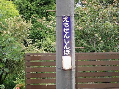 �z�O�V�ۉw�摜
