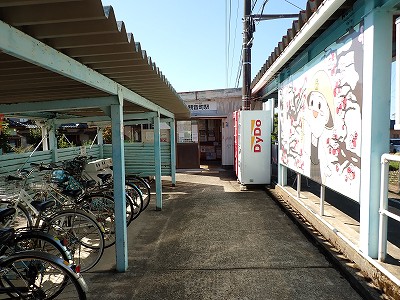 �ω����w�摜