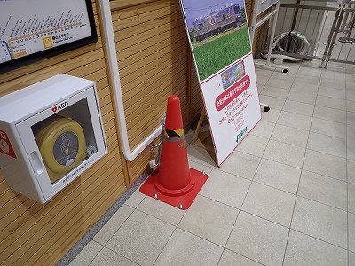 ����w�摜