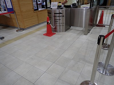 ����w�摜