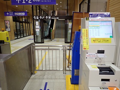 ����w�摜