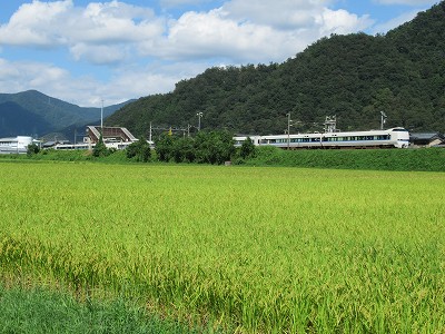 水田と湯尾駅