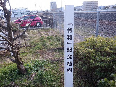 �k�I�]�w�摜