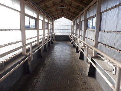 �k�I�]�w�摜