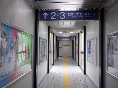 �����w�摜