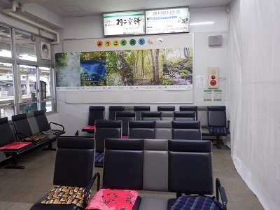 �����w�摜