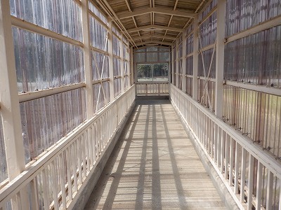 �����w�摜