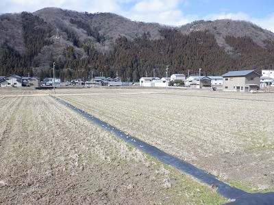 �����w�摜