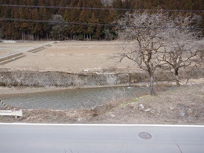 �썡���w�摜