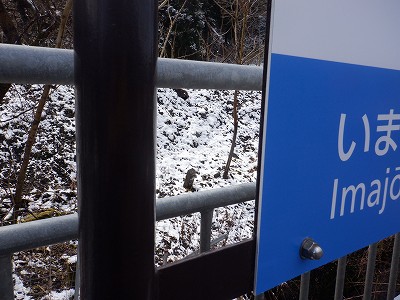 �썡���w�摜