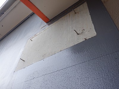 ���q�ۉw�摜