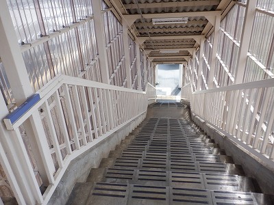 ���q�ۉw�摜