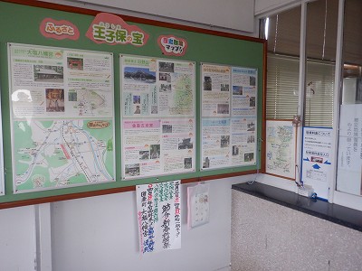 ���q�ۉw�摜