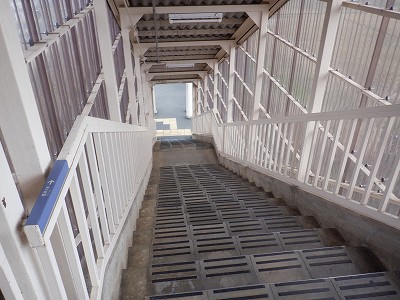 ���q�ۉw�摜