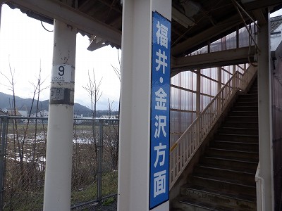 ���q�ۉw�摜