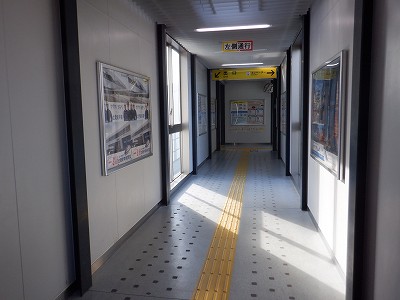 �����w�摜