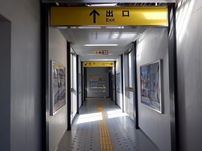 �����w�摜