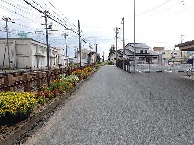 �󐅉w�摜