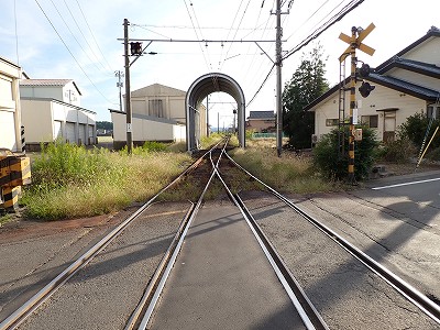 �󐅉w�摜