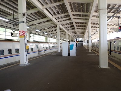 �K�[������w�摜