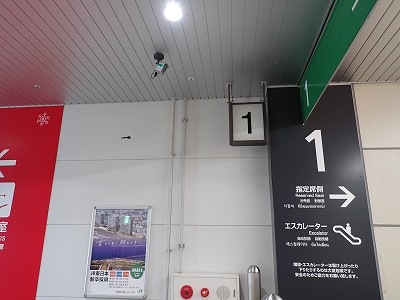 �K�[������w�摜