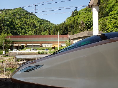 �K�[������w�摜