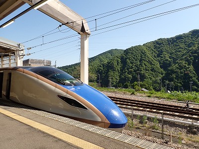 �K�[������w�摜