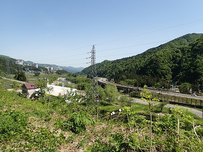 �K�[������w�摜