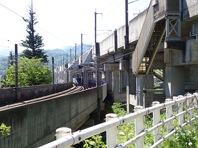 �K�[������w�摜