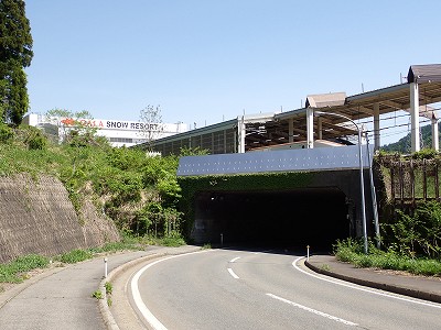 �K�[������w�摜