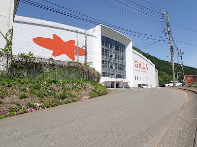 �K�[������w�摜