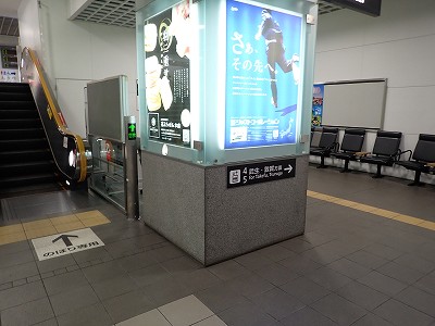 ����w�摜